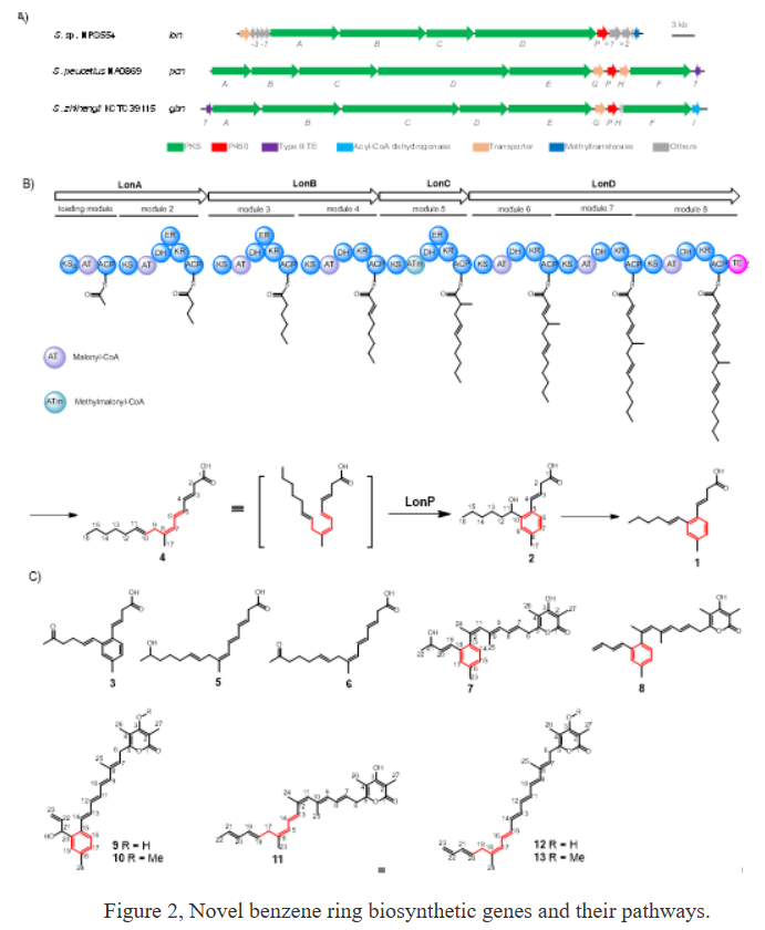 Pymol Benzene Rings Research group led by Hui Ming Ge uncovers a new mechanism for the ...